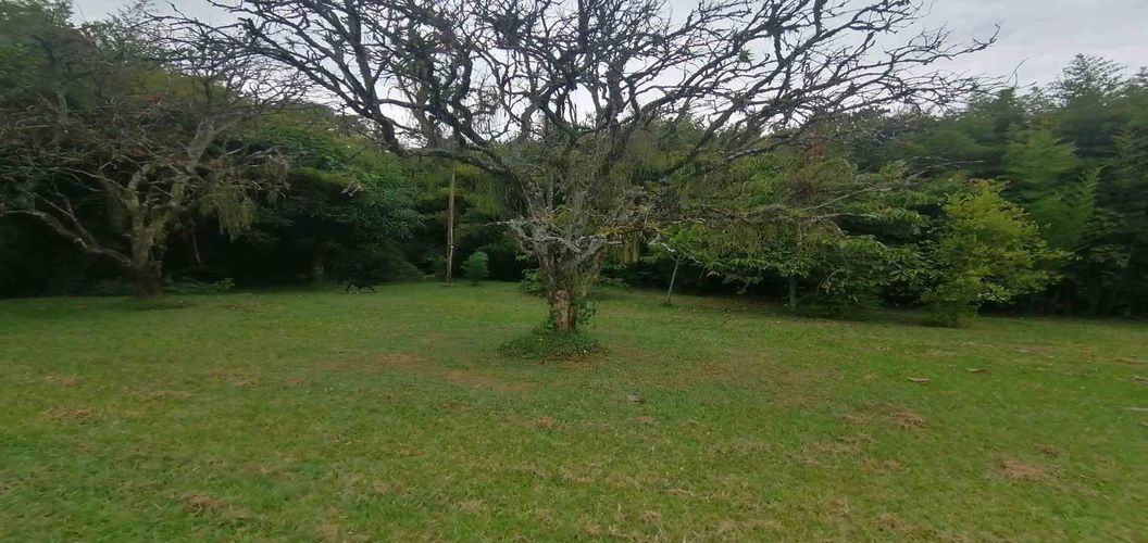 Lote en venta en Cerritos, Pereira, 300 m² · foto 9 de 24