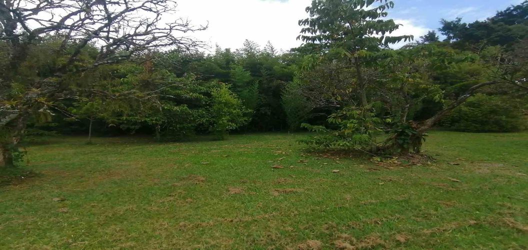 Lote en venta en Cerritos, Pereira, 300 m² · foto 10 de 24