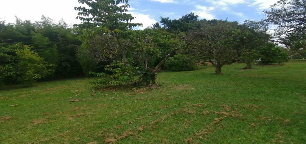 Lote en venta en Cerritos, Pereira, 300 m² · foto 11 de 24