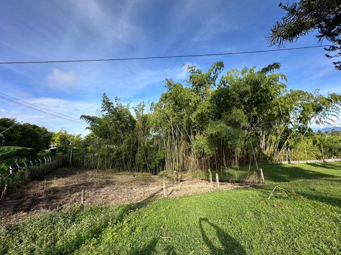 Finca en venta en Morelia, Pereira, 250 m² · foto 11 de 16
