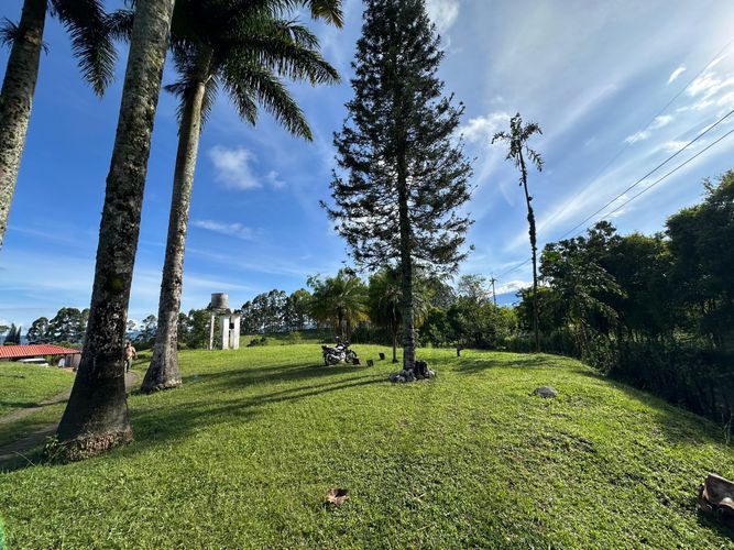 Finca en venta en Morelia, Pereira, 250 m² · foto 14 de 16