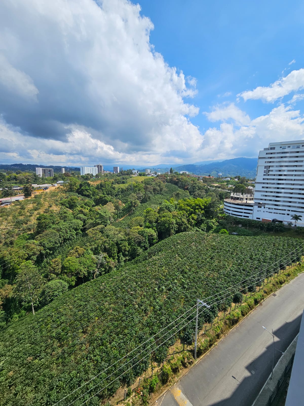 Apartamento en venta en Avenida 19 Norte, Armenia · foto 4 de 9