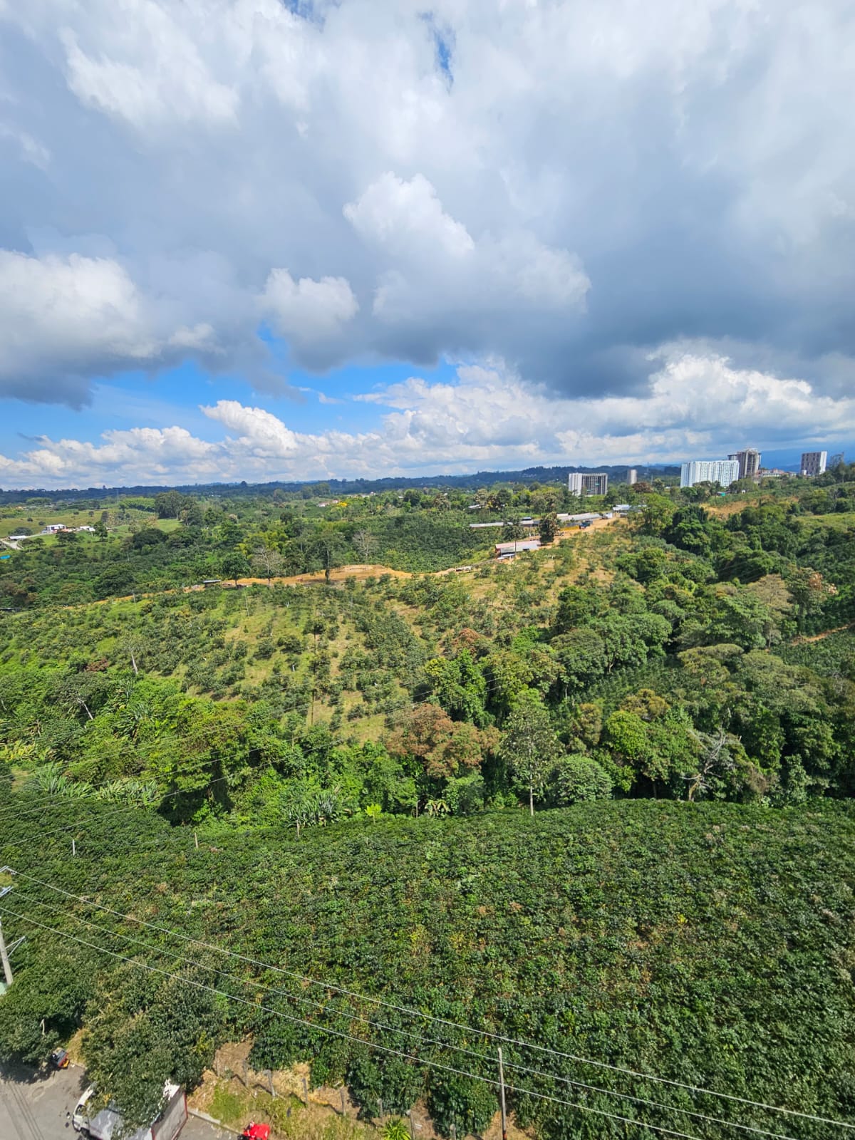 Apartamento en venta en Avenida 19 Norte, Armenia · foto 9 de 9