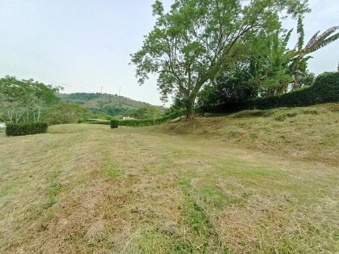 Lote en venta en El Rio, Manizales, 1283 m² · foto 5 de 6
