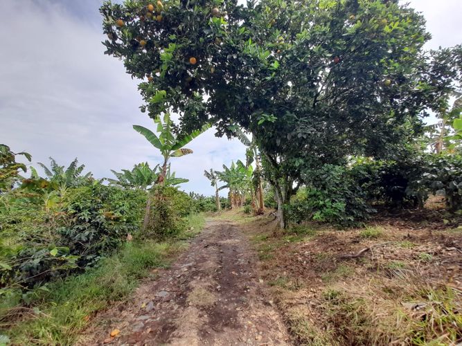 Lote en venta en Arabia, Pereira · foto 2 de 23