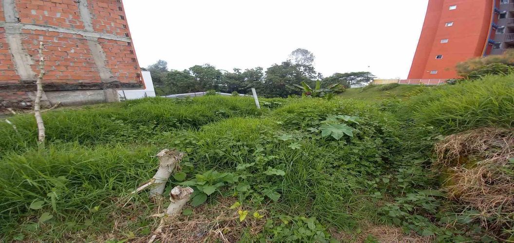 Lote en venta en La Francia, Manizales, 620 m² · foto 6 de 24