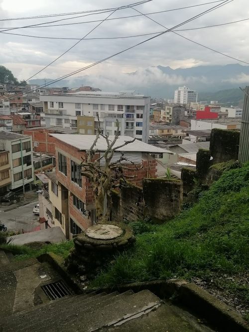 Lote en venta en Chipre, Manizales, 275 m² · foto 2 de 7