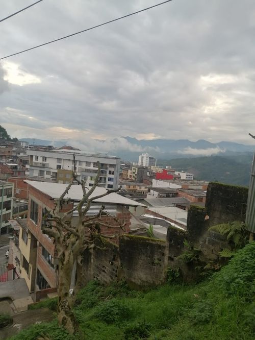 Lote en venta en Chipre, Manizales, 275 m² · foto 3 de 7