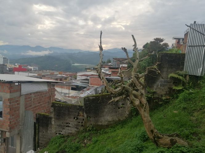 Lote en venta en Chipre, Manizales, 275 m² · foto 4 de 7