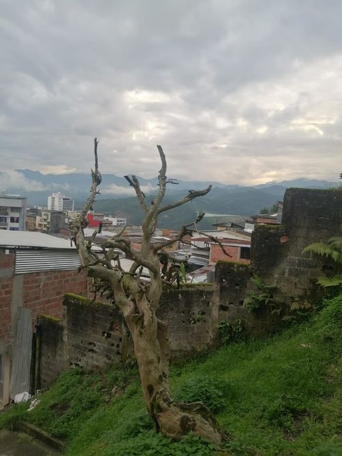 Lote en venta en Chipre, Manizales, 275 m² · foto 5 de 7