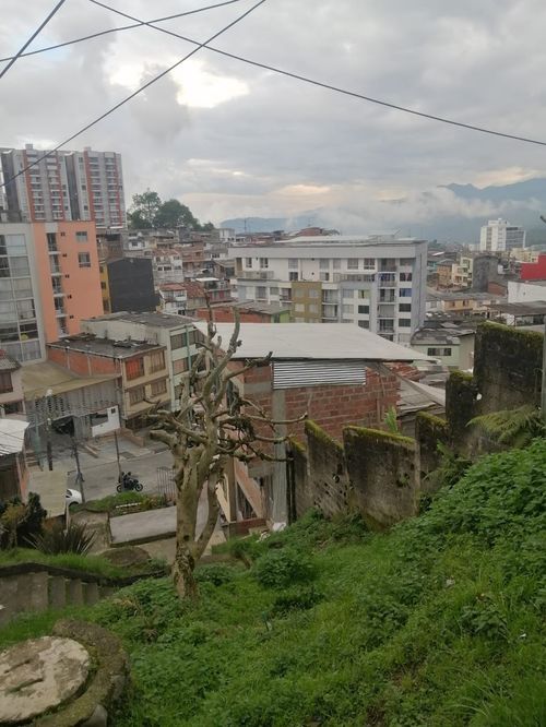 Lote en venta en Chipre, Manizales, 275 m² · foto 6 de 7