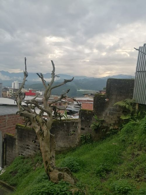 Lote en venta en Chipre, Manizales, 275 m² · foto 7 de 7