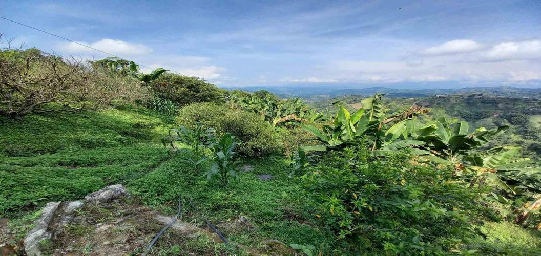 Finca en venta en La Aurora, Manizales, 350 m² · foto 2 de 24
