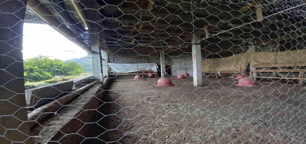 Finca en venta en La Aurora, Manizales, 350 m² · foto 6 de 24