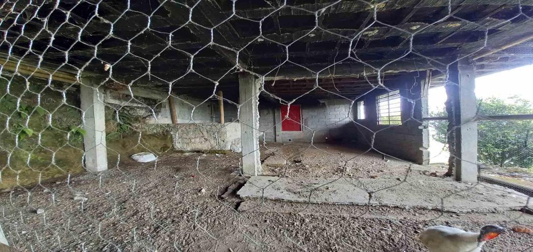 Finca en venta en La Aurora, Manizales, 350 m² · foto 7 de 24