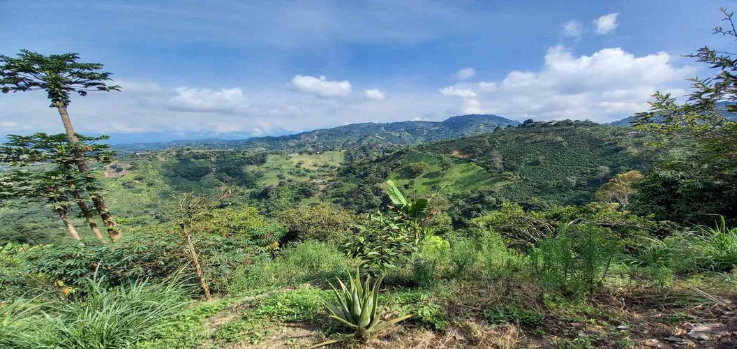 Finca en venta en La Aurora, Manizales, 350 m² · foto 8 de 24