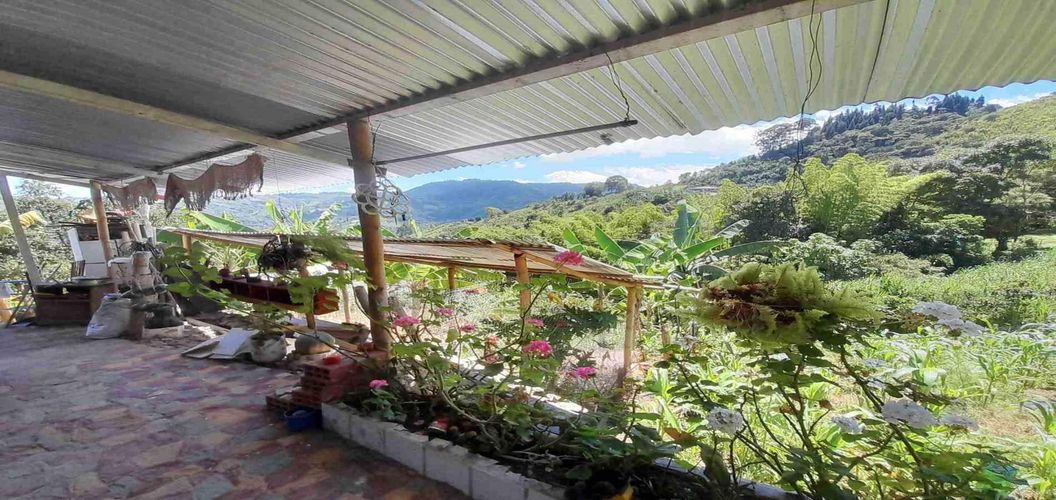 Finca en venta en Alto Bonito, Manizales, 1780 m² · foto 17 de 24