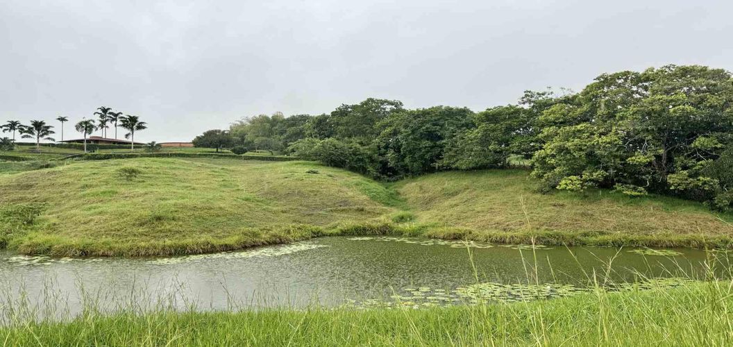 Lote en venta en Cerritos, Pereira · foto 2 de 8