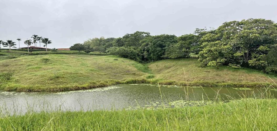 Lote en venta en Cerritos, Pereira · foto 3 de 8