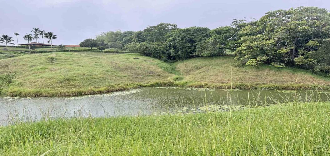 Lote en venta en Cerritos, Pereira · foto 4 de 8