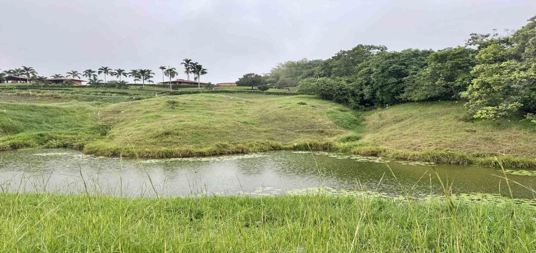 Lote en venta en Cerritos, Pereira · foto 5 de 8