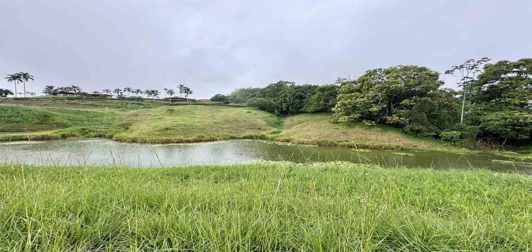 Lote en venta en Cerritos, Pereira · foto 6 de 8