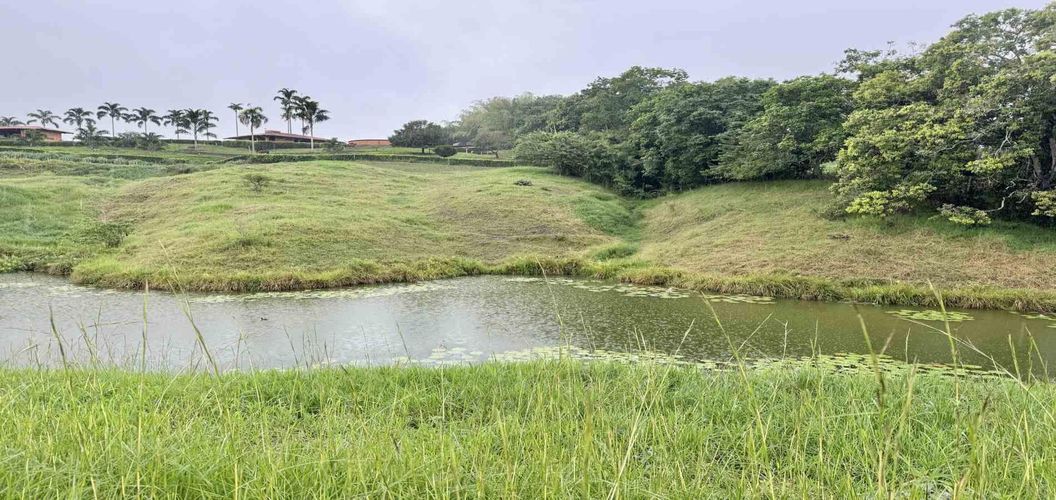 Lote en venta en Cerritos, Pereira · foto 7 de 8
