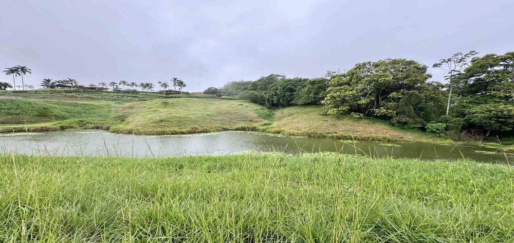 Lote en venta en Cerritos, Pereira · foto 8 de 8