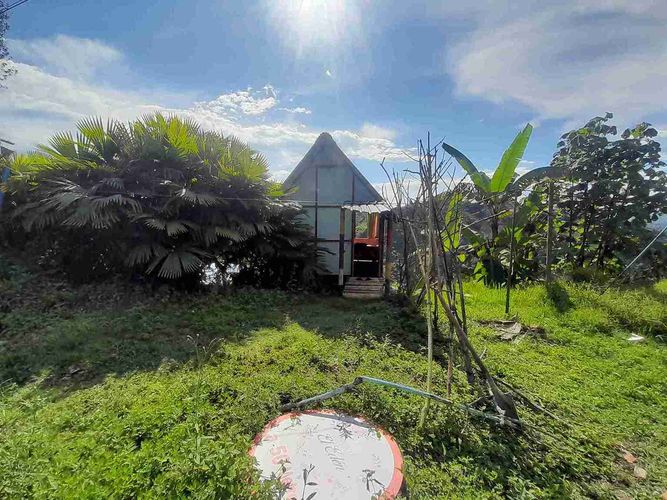 Finca en venta en Fanny Gonzalez, Manizales, 9000 m² · foto 11 de 23
