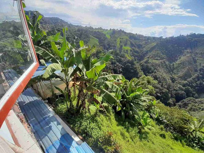 Finca en venta en Fanny Gonzalez, Manizales, 9000 m² · foto 14 de 23