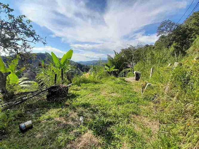 Finca en venta en Fanny Gonzalez, Manizales, 9000 m² · foto 16 de 23