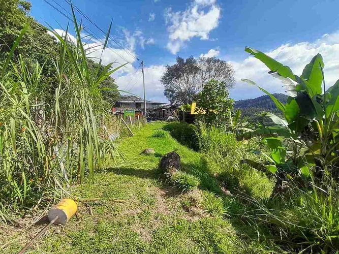 Finca en venta en Fanny Gonzalez, Manizales, 9000 m² · foto 17 de 23