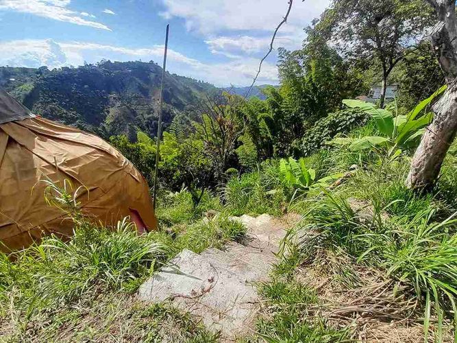 Finca en venta en Fanny Gonzalez, Manizales, 9000 m² · foto 18 de 23