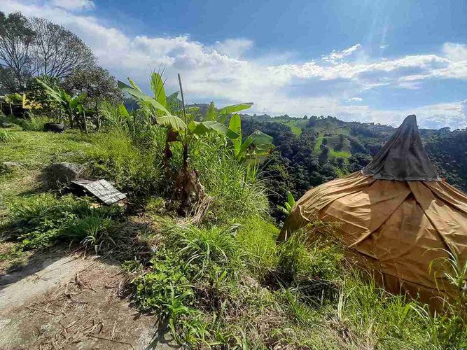 Finca en venta en Fanny Gonzalez, Manizales, 9000 m² · foto 19 de 23