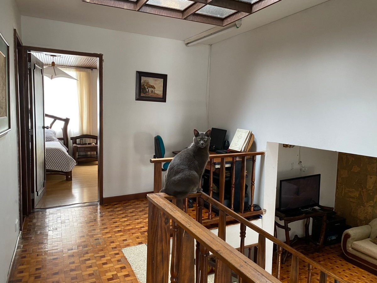 Casa en venta en Palermo, Manizales · foto 4 de 18