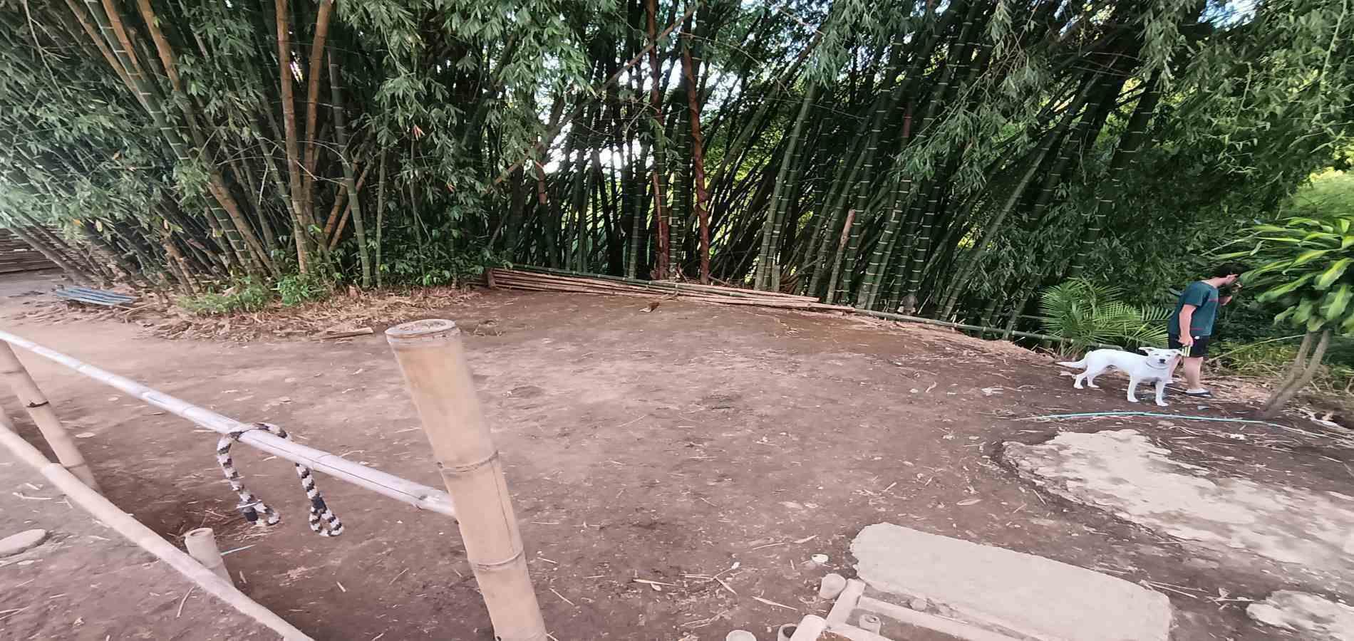 Apartamento en venta en Sector Parque Valencia, Armenia · foto 4 de 17