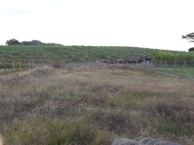 Lote en venta en Combia, Pereira, 1500 m² · foto 3 de 14