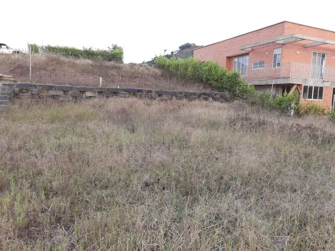 Lote en venta en Combia, Pereira, 1500 m² · foto 7 de 14