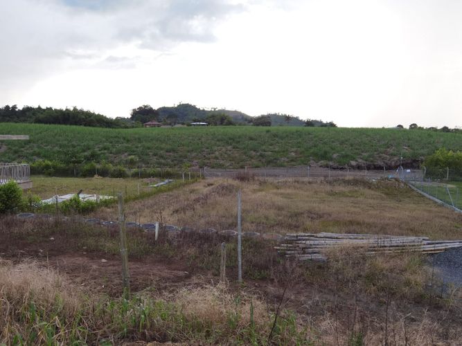 Lote en venta en Combia, Pereira, 1500 m² · foto 11 de 14