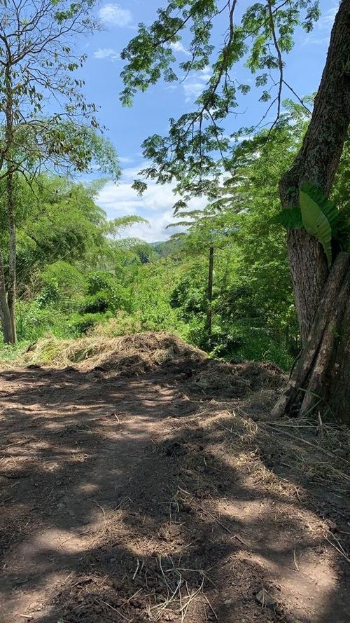 Lote en venta en Kilometro 41, Manizales · foto 2 de 2