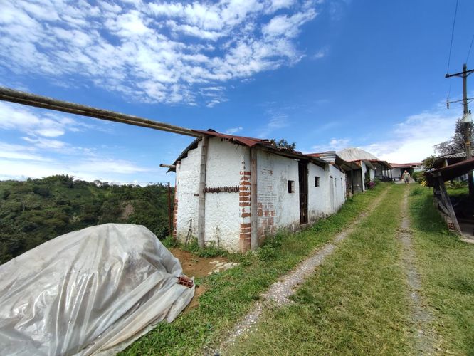 Finca en venta en Tribunas Corcega, Pereira, 650 m² · foto 8 de 24