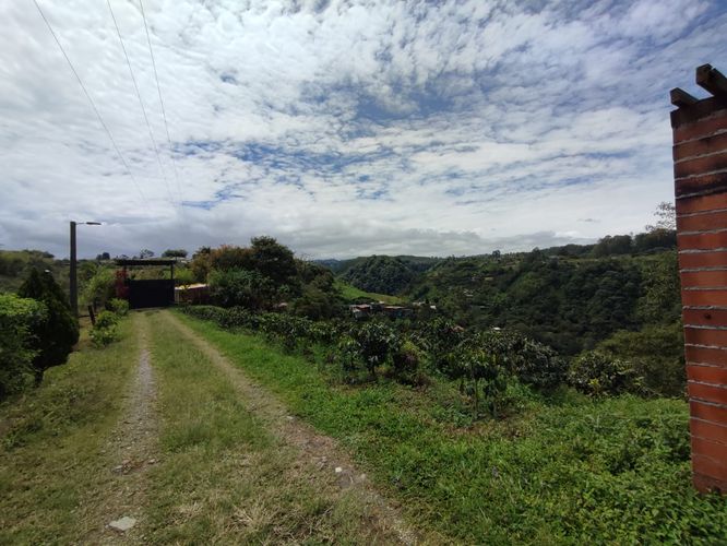 Finca en venta en Tribunas Corcega, Pereira, 650 m² · foto 9 de 24