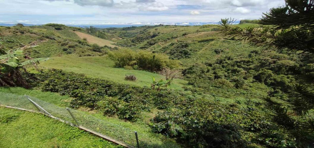 Finca en venta en Tribunas Corcega, Pereira, 650 m² · foto 16 de 24