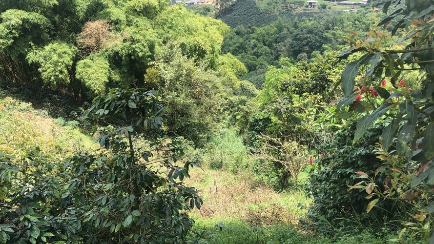 Lote en venta en El Rodeo, Dosquebradas, 200 m² · foto 4 de 12