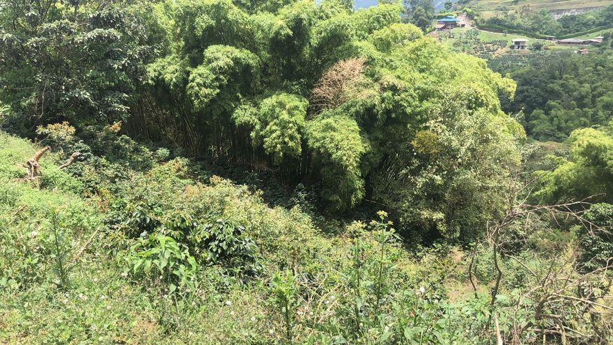 Lote en venta en El Rodeo, Dosquebradas, 200 m² · foto 6 de 12
