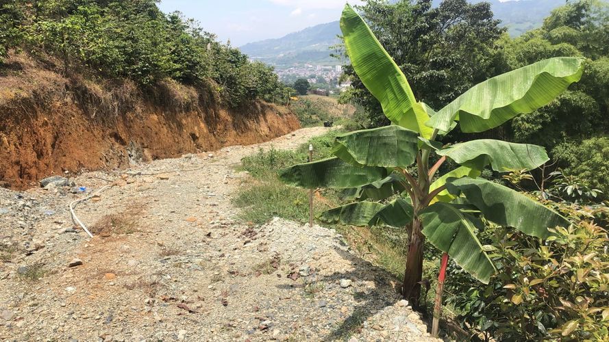Lote en venta en El Rodeo, Dosquebradas, 200 m² · foto 8 de 12