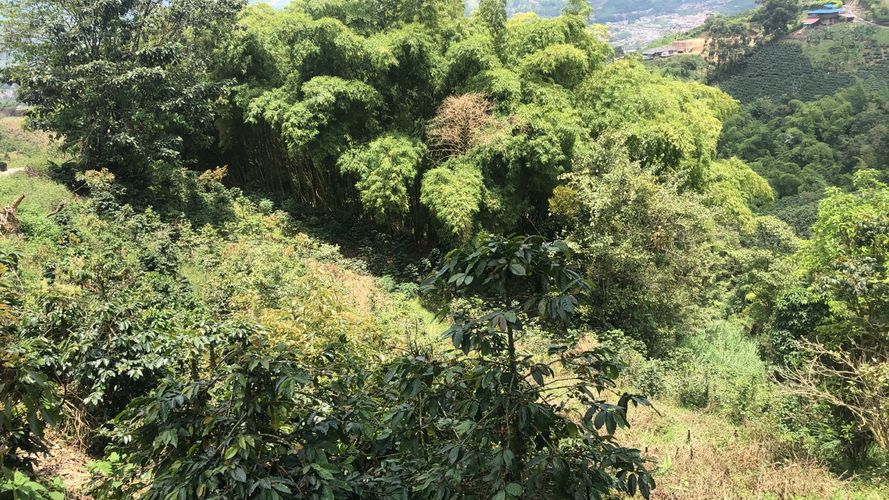 Lote en venta en El Rodeo, Dosquebradas, 200 m² · foto 10 de 12