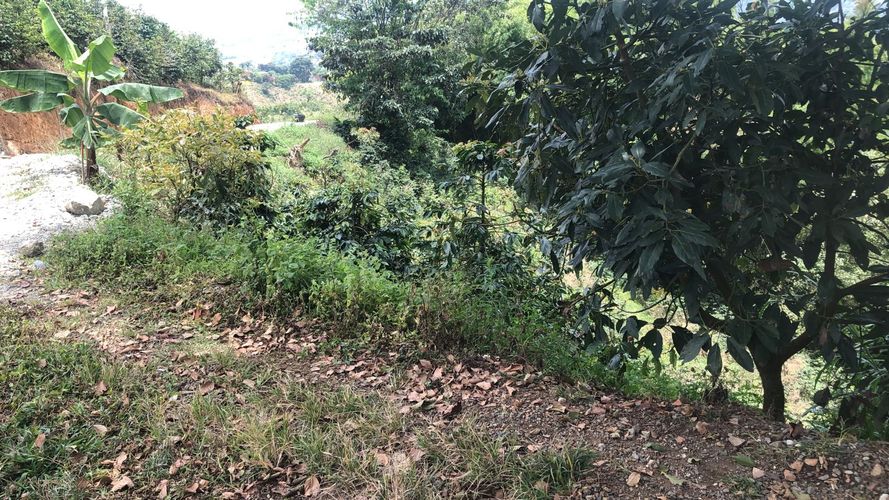 Lote en venta en El Rodeo, Dosquebradas, 200 m² · foto 11 de 12