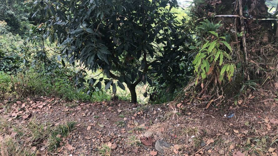 Lote en venta en El Rodeo, Dosquebradas, 200 m² · foto 12 de 12