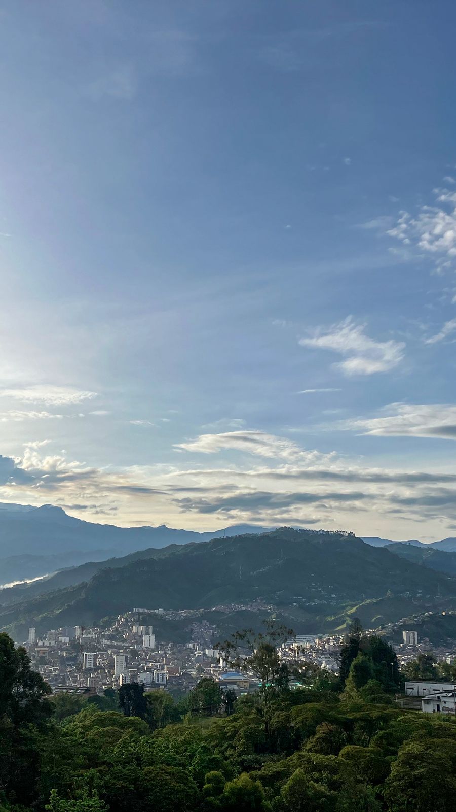 Apartamento en venta en Los Nogales, Manizales · foto 9 de 12